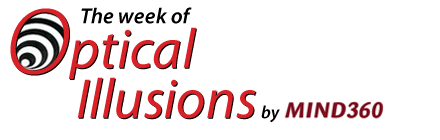 op_logo op logo6 The Week of Optical Illusions Which Table Is Bigger?