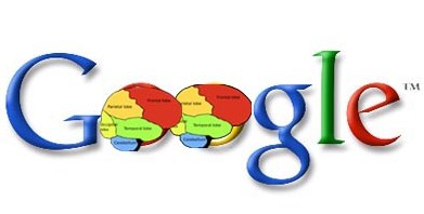Google on the brain