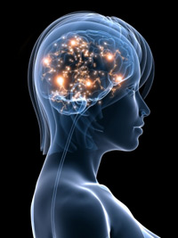 ActiveBrain s Like Wine, the Brain Gets Better With Age