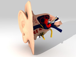 hearing