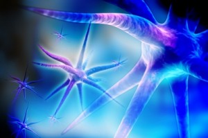 neuron 300x199 The Brain and The Internet – A Similar Network Structure
